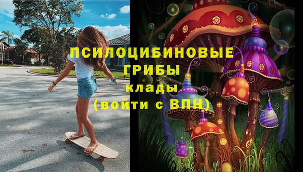 а пвп мука Богданович
