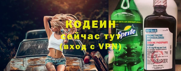 спиды Богородск