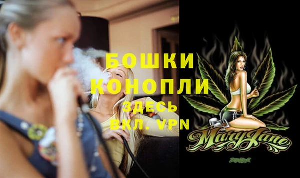 спиды Богородск