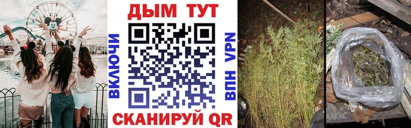 МАРИХУАНА ГИДРОПОН  купить   Бутурлиновка 